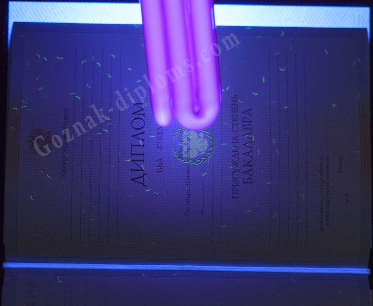 Диплом бакалавра 2010-2013